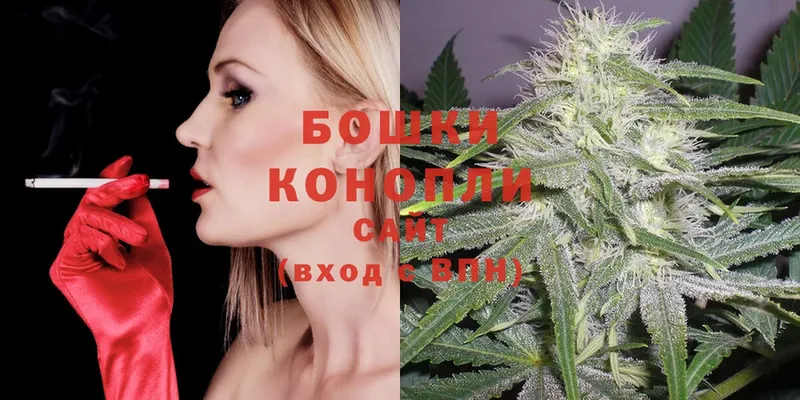 Бошки марихуана White Widow  даркнет наркотические препараты  Изобильный 